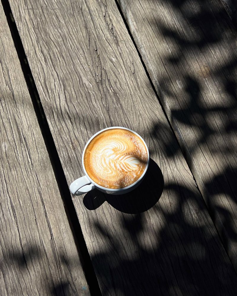 A latte on a sunlit timber table
